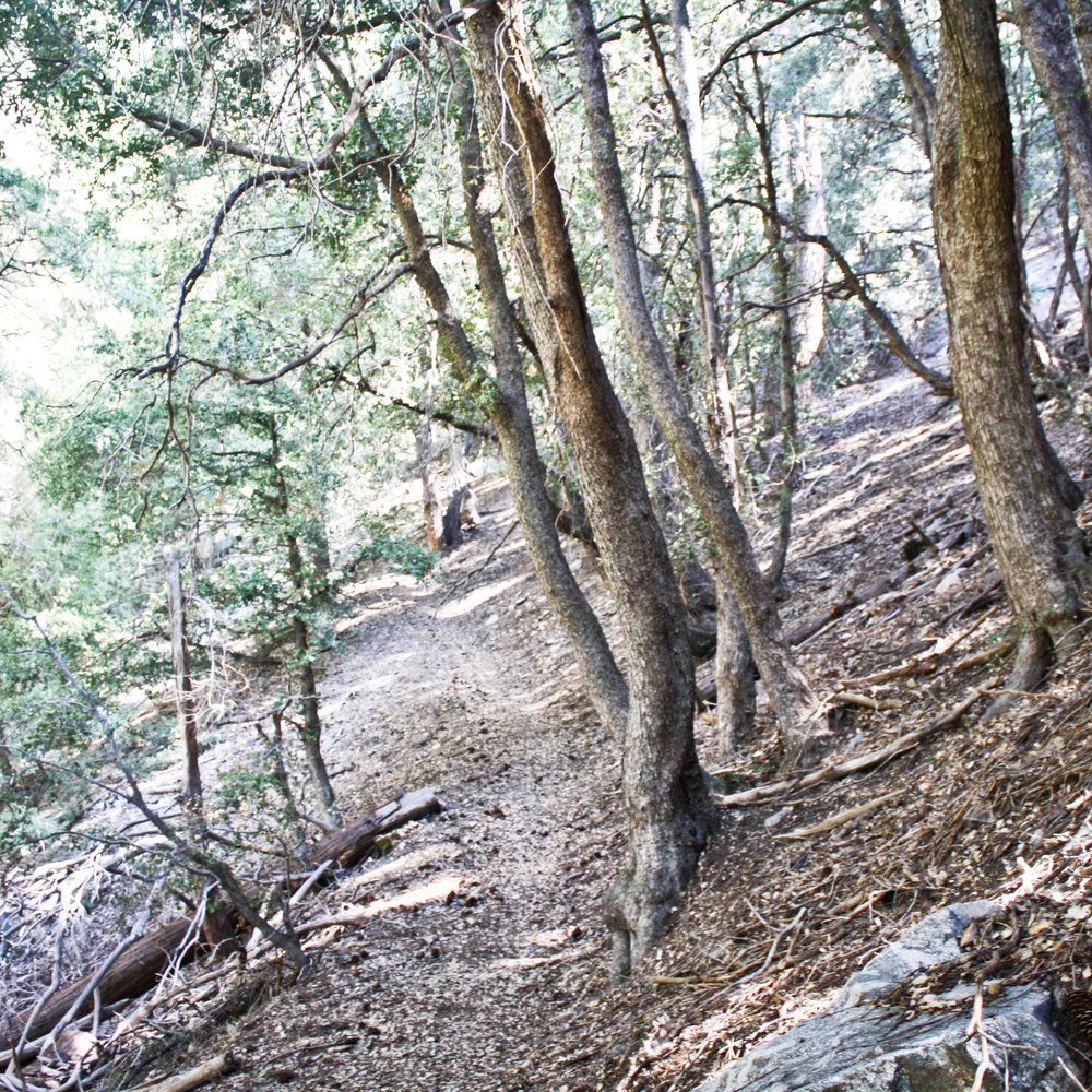 Crystal Lake Camp Grounds - Soldiers Loop - Campgrounds Near Me - Azusa, California Crystal Lake Camp Grounds - Soldiers Loop - Campgrounds Near Me - Azusa, California