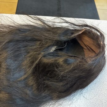 XBL Hair - Hair Extensions Near Me - La Puente, California XBL Hair - Hair Extensions Near Me - La Puente, California