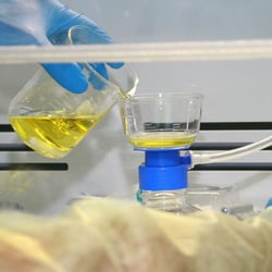 Palm Beach Compounding Pharmacy
