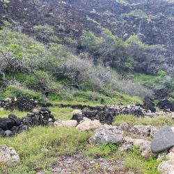 808 Cleanups - Mauna Lahilahi