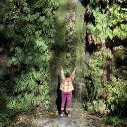 Prairie Creek Redwoods State Park - There's a little waterfall too