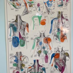 Chiropractic Health Center