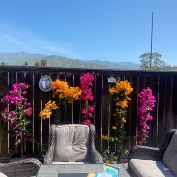 Toro Canyon Nursery, Inc. - Nurseries & Gardening Near Me - Carpinteria, California Toro Canyon Nursery, Inc. - Nurseries & Gardening Near Me - Carpinteria, California