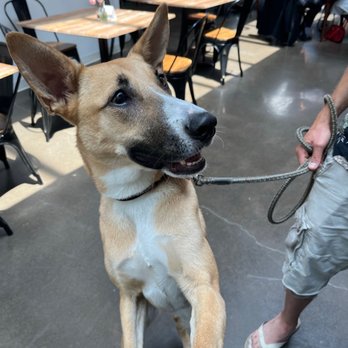 Inheritance Juicery - Dog friendly - Juice Bars & Smoothies Near Me - Tulsa, Oklahoma
