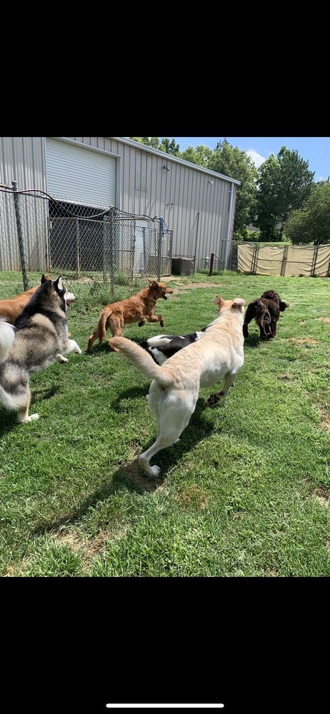 Palmetto Pet Center  Image