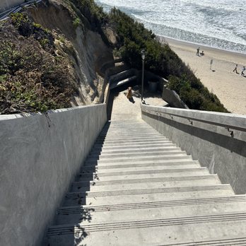 The Noble Dogs - Long distance sit and stay for extended time. - Pet Training Near Me - San Diego, California The Noble Dogs - Long distance sit and stay for extended time. - Pet Training Near Me - San Diego, California