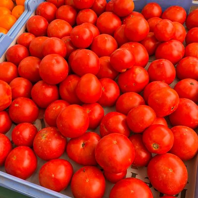 South End Farmers Market by null