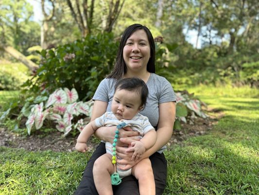 Elizabethan Gardens by null