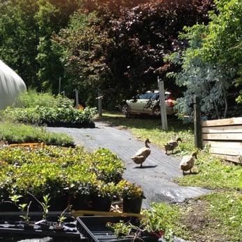 Edible Landscaping - Nurseries & Gardening Near Me - Afton, Virginia
