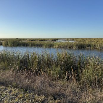 Sawgrass Trailhead at Atlantic Boulevard - Hiking Near Me Sawgrass Trailhead at Atlantic Boulevard - Hiking Near Me