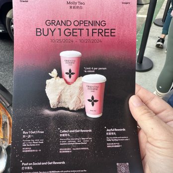 Molly Tea - BOGO - Bubble Tea Near Me - Sunnyvale, California Molly Tea - BOGO - Bubble Tea Near Me - Sunnyvale, California