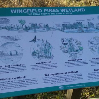 Wingfield Pines - Parks Near Me - Pittsburgh, Pennsylvania Wingfield Pines - Parks Near Me - Pittsburgh, Pennsylvania