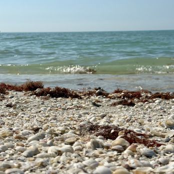 Gulfside Beach - Beaches Near Me - Sanibel, Florida Gulfside Beach - Beaches Near Me - Sanibel, Florida
