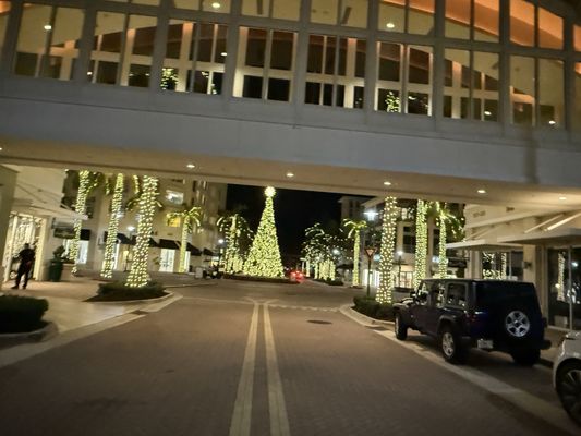 Harbourside Place by null