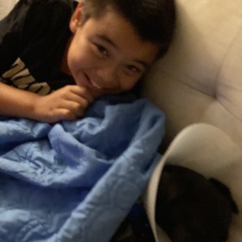 Maui Humane Society - Animal Shelters Near Me - Puunene, Hawaii