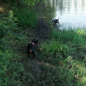 Northbark Dog Park - The other side of the pond - Dog Parks Near Me - Dallas, Texas Northbark Dog Park - The other side of the pond - Dog Parks Near Me - Dallas, Texas