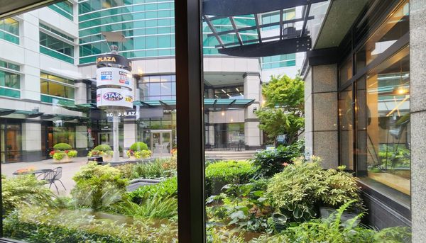 Milkvue & DIY tea lab by null