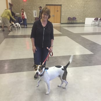 D.O.G. - Dog Obedience Group - Pet Training Near Me D.O.G. - Dog Obedience Group - Pet Training Near Me