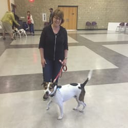 D.O.G. - Dog Obedience Group