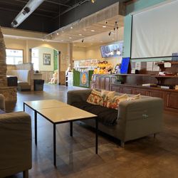 Cuckoos Cafe - Inside cafe