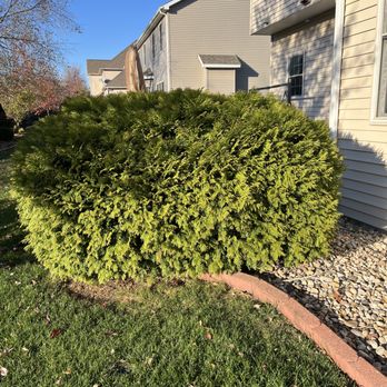 Mowments Notice - Before - Lawn Services Near Me