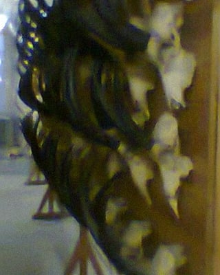 Royal Museum for Central Africa by null