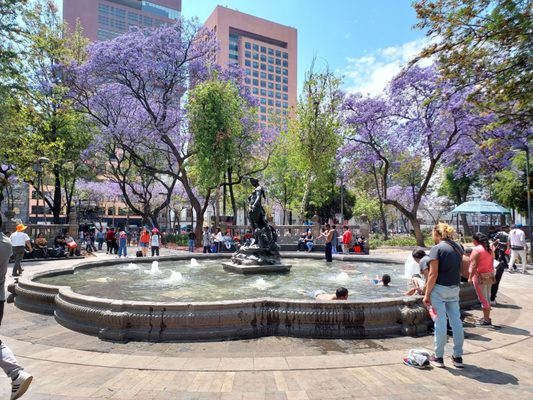 Alameda Central by null