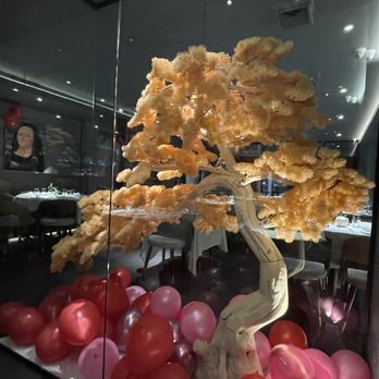 Tang By Mr Sun - Asian Fusion Near Me - New York, New York Tang By Mr Sun - Asian Fusion Near Me - New York, New York