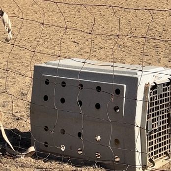 Drummond Ranch - Pet Training Near Me - Palmdale, California