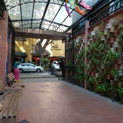 Mercado Insurgentes