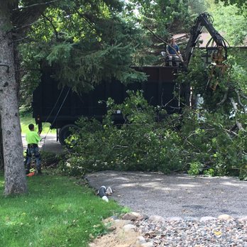 Trees By Forrest - Tree Services Near Me