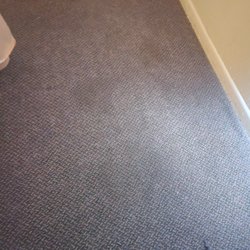 Nasty carpet
