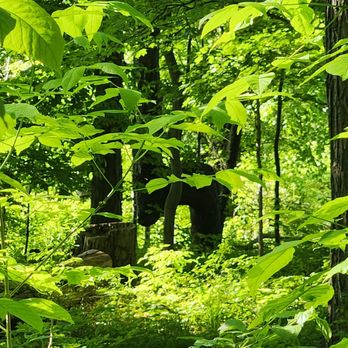 Bronte Creek Provincial Park - Parks Near Me - Oakville, Ontario