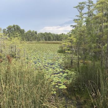 Tibet-Butler Preserve - Large lake where I am sure some gators live. - Parks Near Me - Orlando, Florida Tibet-Butler Preserve - Large lake where I am sure some gators live. - Parks Near Me - Orlando, Florida