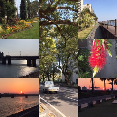 Miyazaki Kanko Hotel by null