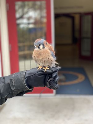 The Peregrine Fund's World Center For Birds of Prey by null