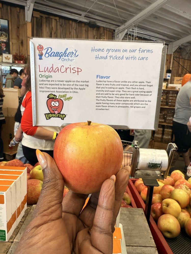 Social spots from Baugher's Orchard & Farm