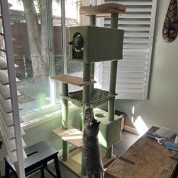 My cats love them too! My cats love them too!