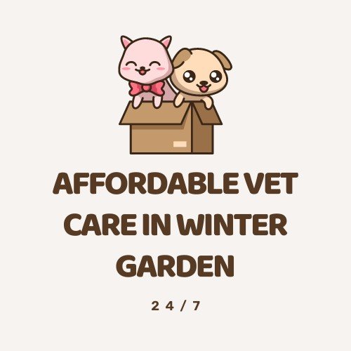 AFFORDABLE VET CARE WINTER GARDEN Updated April 2024 3065 Daniels