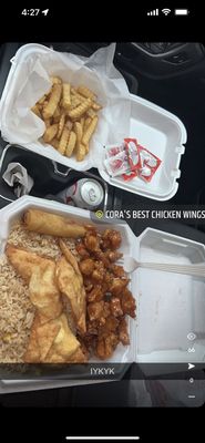 Cora's Best Chicken Wings by null