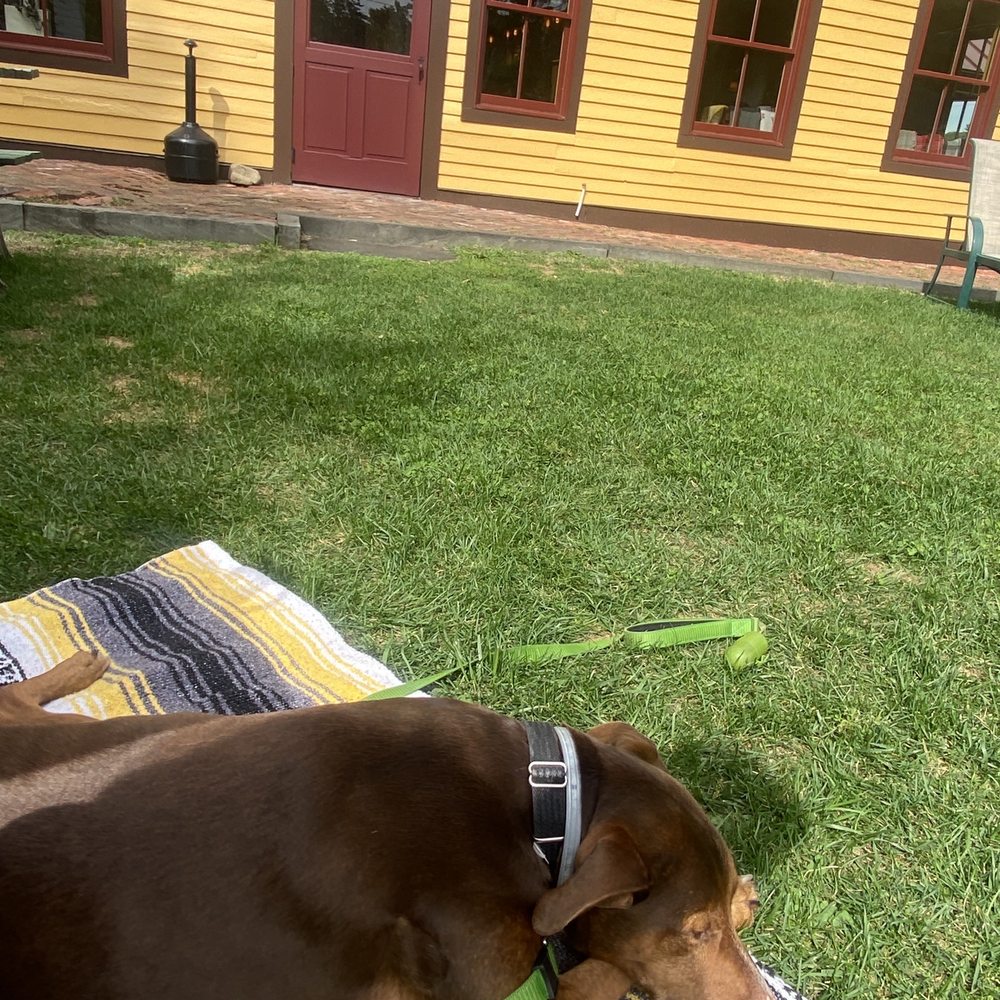 Gunk Haus - Waiting for lunch - German Near Me - Highland, New York Gunk Haus - Waiting for lunch - German Near Me - Highland, New York