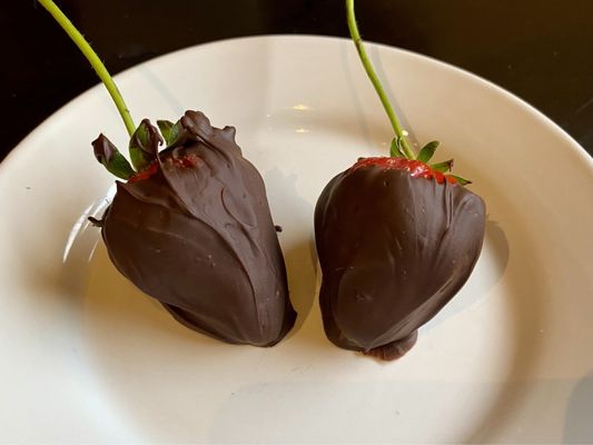 Solera - Restaurant and Wine Bar by null