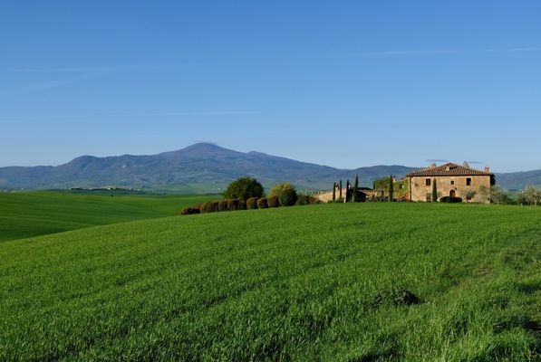 L'Olmo by null