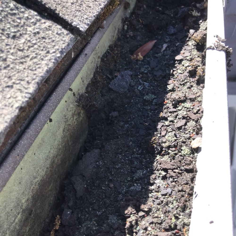 Sunshine Gutters and Roofing - Rocky debris from shingles, AFTER cleaning by first company (two stories, and no way for me to check myself). No flashing/shings to gutters. - Gutter Services Near Me - Berkeley, California Sunshine Gutters and Roofing - Rocky debris from shingles, AFTER cleaning by first company (two stories, and no way for me to check myself). No flashing/shings to gutters. - Gutter Services Near Me - Berkeley, California