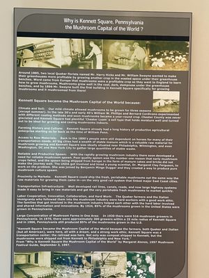 The Woodlands at Phillips Mushroom Farms by null