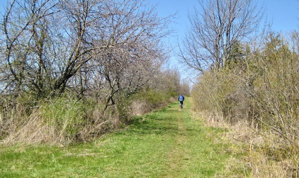 Finger Lakes National Forest by null