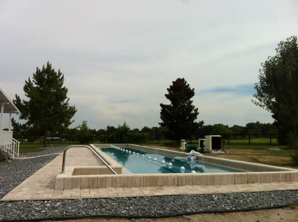 PHOENIX POOLS, INC. Updated August 2024 8101 N Fremont Ave, Tampa, Florida General