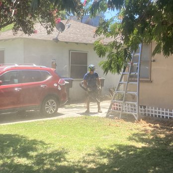 Gavin Tolbert's Tree Service - Gavin tolbert's tree service - Tree Services Near Me