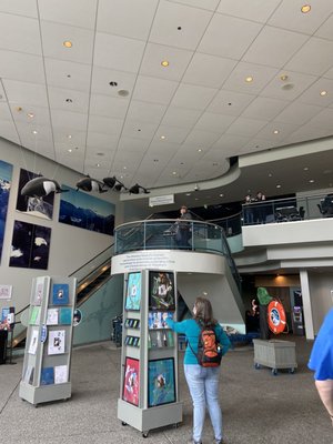 Alaska SeaLife Center by null