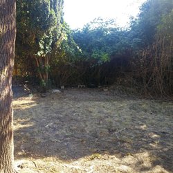 AG Junk Haulers - Backyard Shed after it's gone.